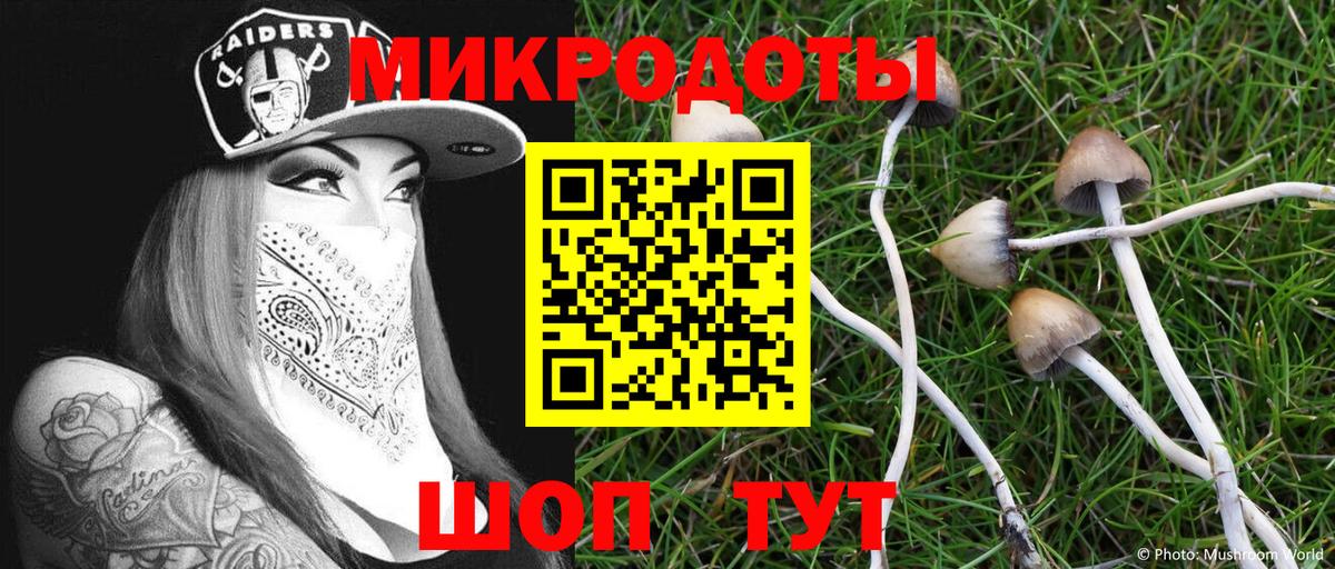 Псилоцибиновые грибы мухоморы  Вход с VPN  Междуреченск 
